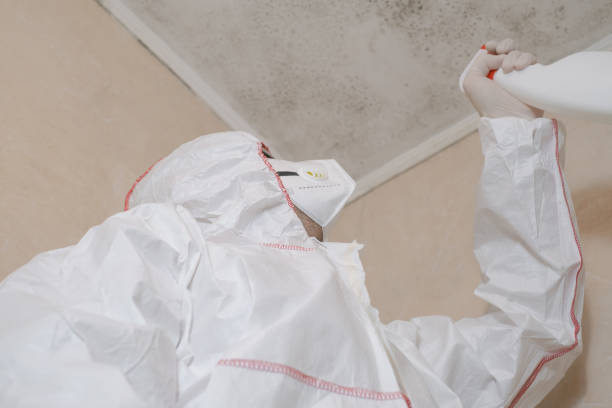 Forensic Mold Investigation in Granger, TX